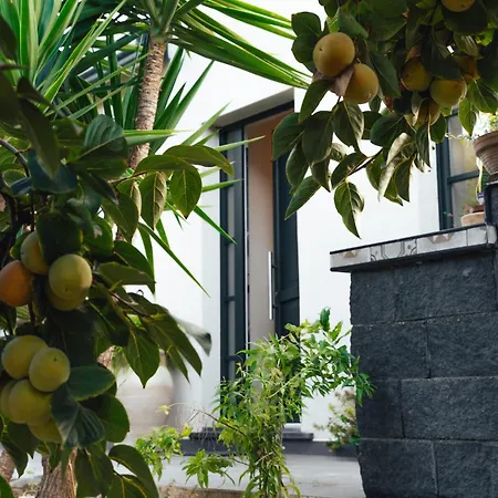 Almatellus - Sicilian Countryside Escape Holiday home *